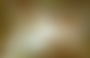Brown background, blur, gradient
