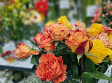 A bouquet of roses in a flower shop