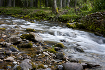 Mountain Stream