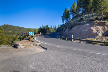 Gran Canaria, a winding road and trees growing on the rocks