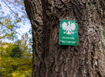 Nature Monument, a plaque with an emblem on the tree
