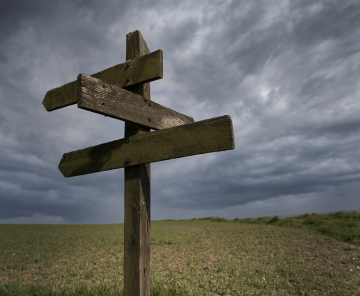 Wooden signpost in a farmland