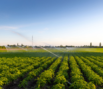 Sprinklers on irrigated crops
