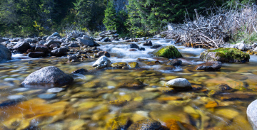 Mountain Stream