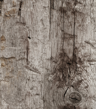 Old wood