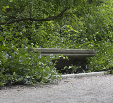 Stone Bench in the Park