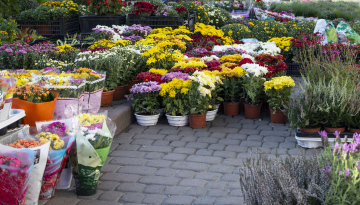 Street Stand with Flowers